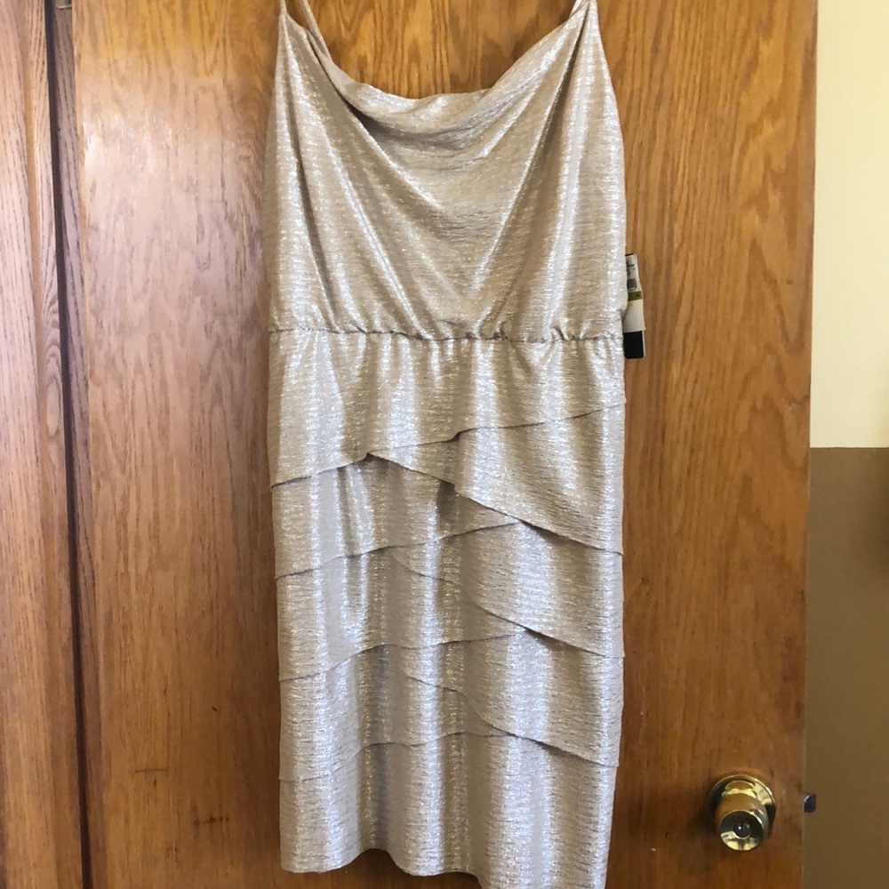 Dress nice evening dress  Brand New NWT